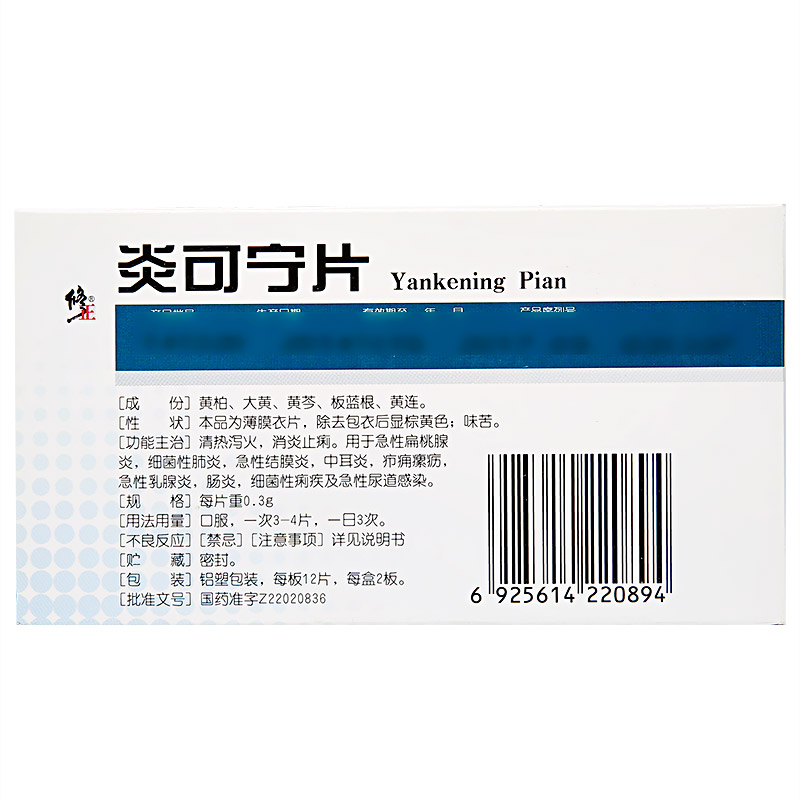 炎可宁片(修正)